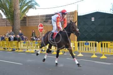 Carreras de caballo de San Gregorio Taumaturgo 2018